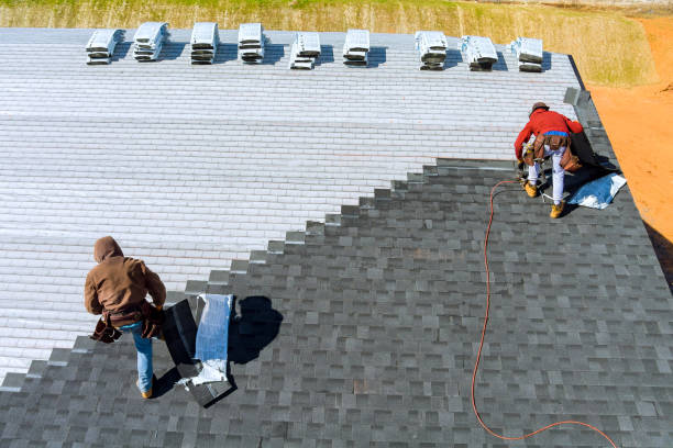Best Roof Maintenance Services  in Carlisle, IA