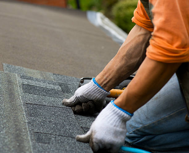 Professional Roofing Contractor in Carlisle, IA