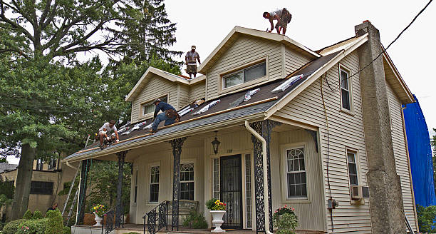 Best Local Roofing Companies  in Carlisle, IA